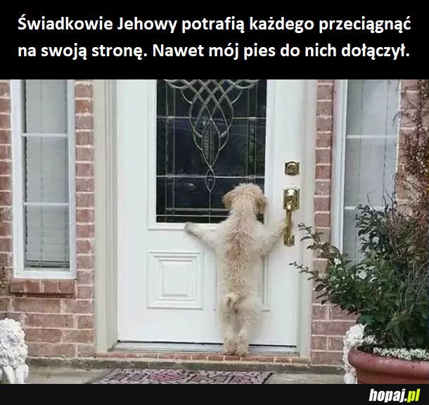 Pieseł Jehoweł