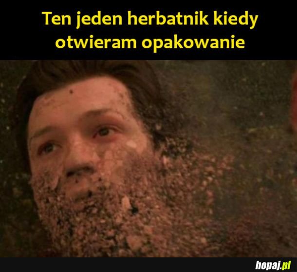 Ten jeden herbatnik