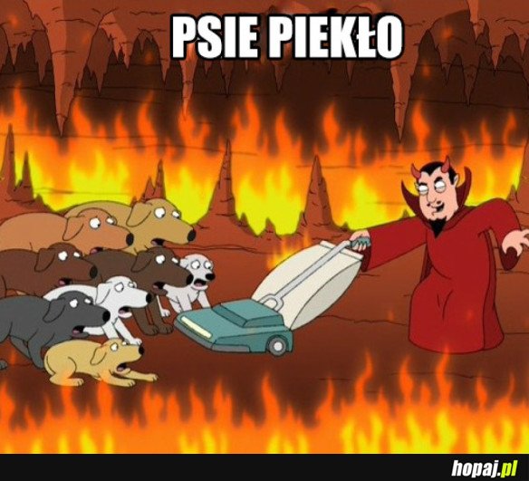 PSIE PIEKŁO