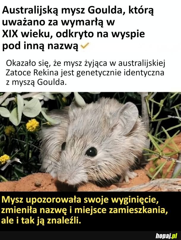 Próbowała się ukryć, ale nie wyszło