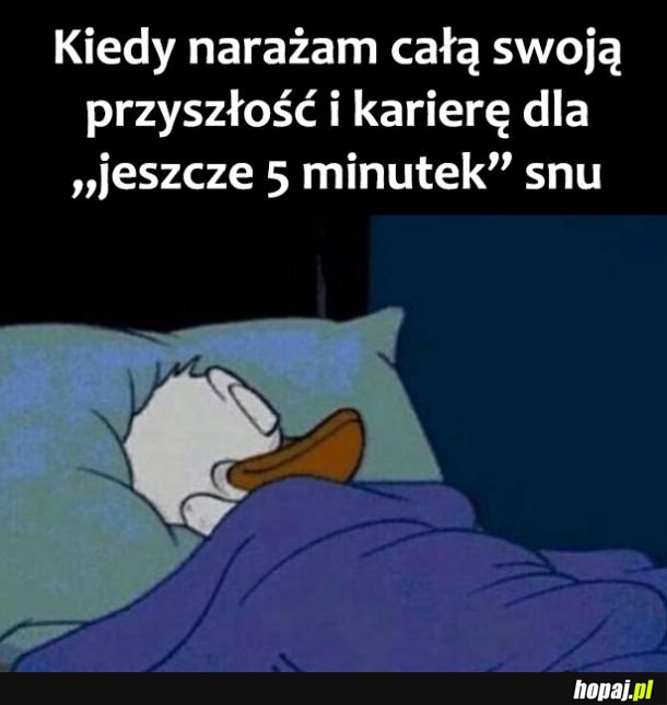 Tak jest