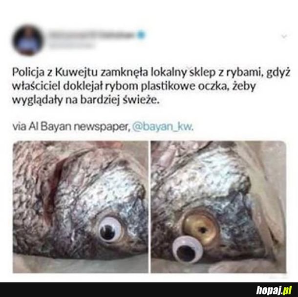Oczko