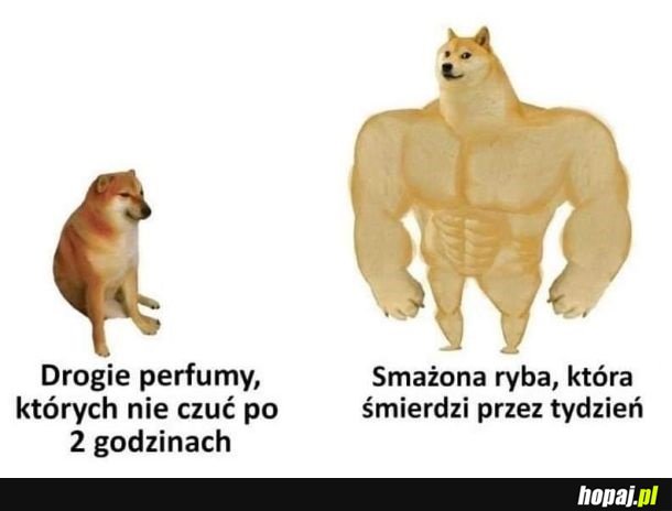 Zapach