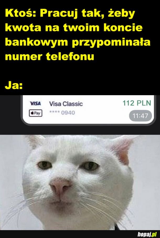 Numer telefonu