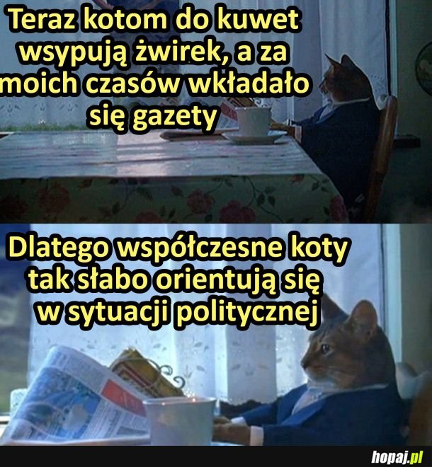 To wszystko przez ten żwirek