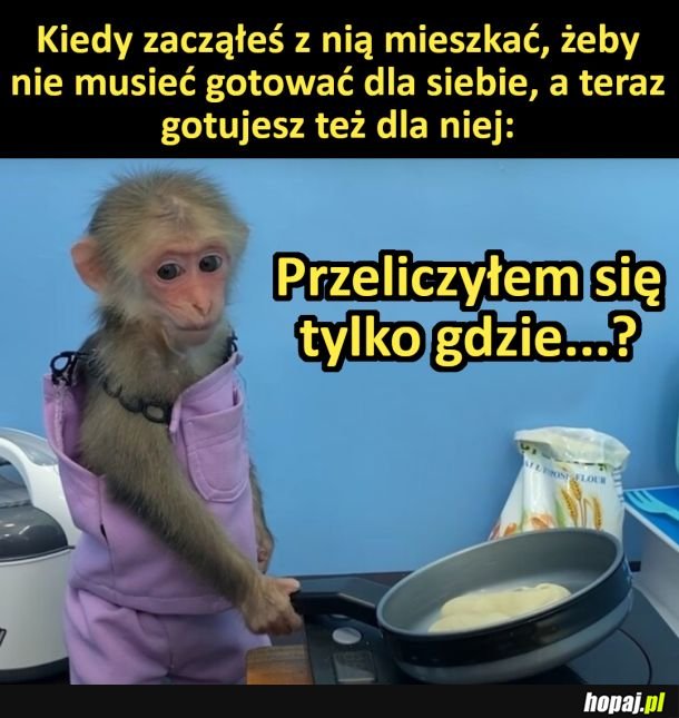 Co poszło nie tak