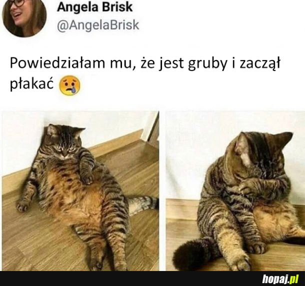 Biedny kotałke...