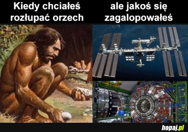 Zagalopowane