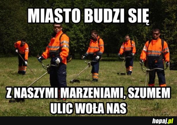 Czy panowie muszą tak...