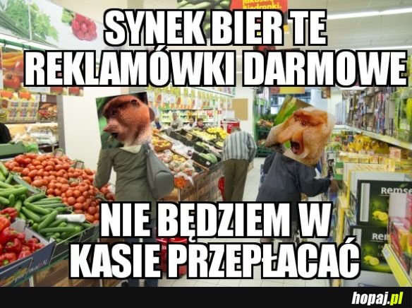 Bierz siatki