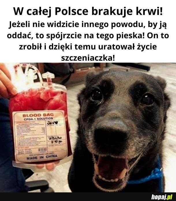 Zróbcie coś dobrego