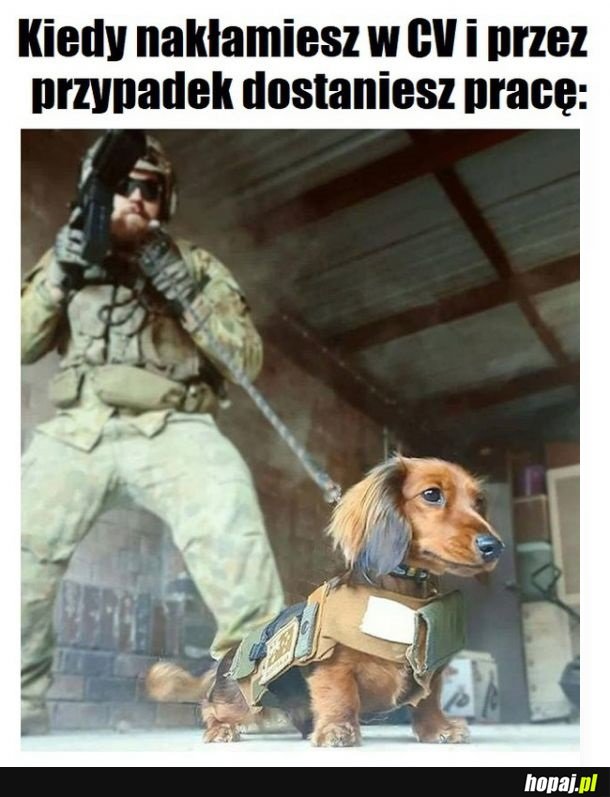 Kiedy nakłamiesz w CV