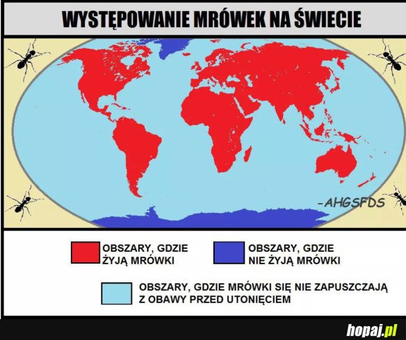 MRÓWKI NA ŚWIECIE