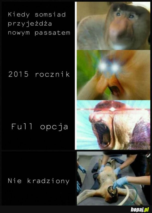 Złodziej jeden