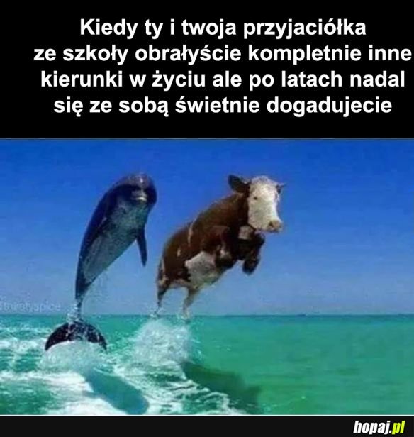 Najlepsza przyjaźń