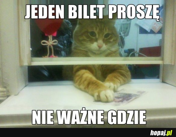 Bilet proszę