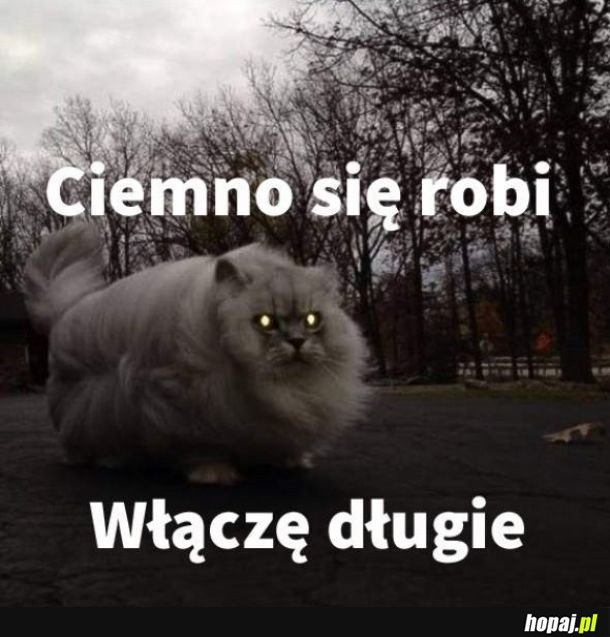 Zmiana świateł