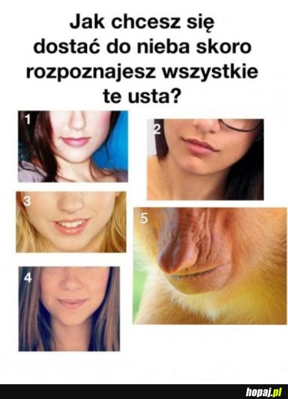 JAK TY SOBIE TO WYOBRAŻASZ