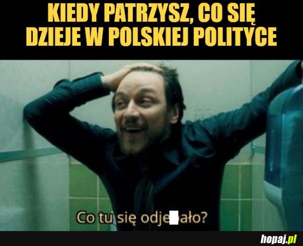 Polityka.