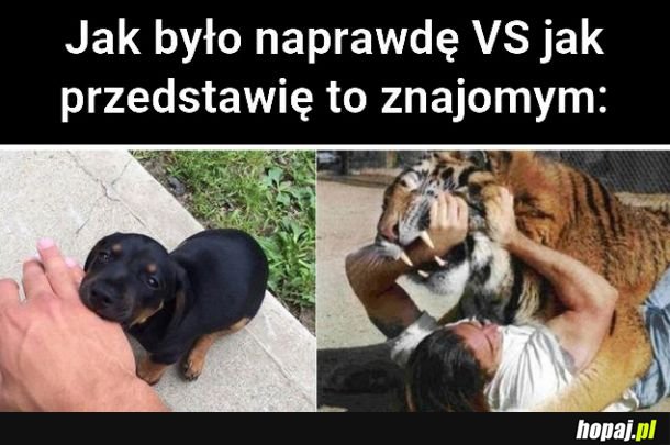 Tak było