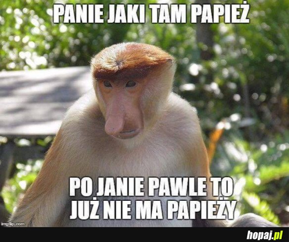 PANIE PAPIEŻ TYLKO POLAK