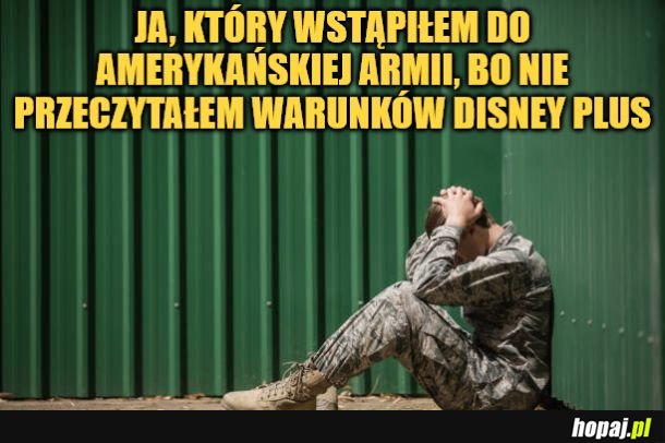 Trzeba było czytać. 