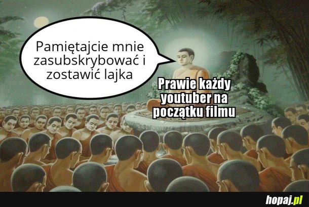 Bo najważniejsze rzeczy to honor, rodzina i hajs z youtuba