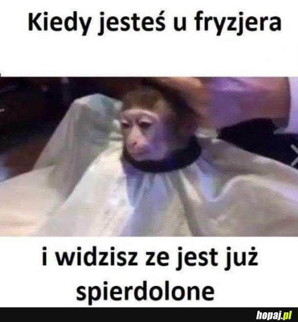 Za każdym razem