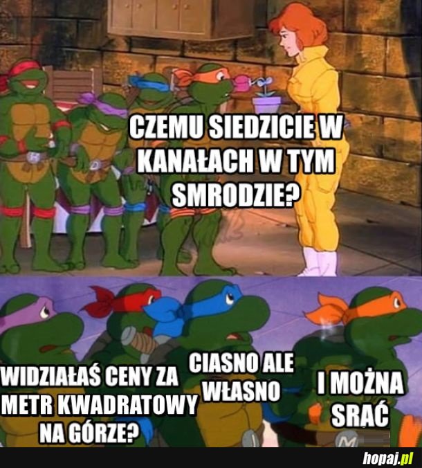 Jest to jakiś pomysł