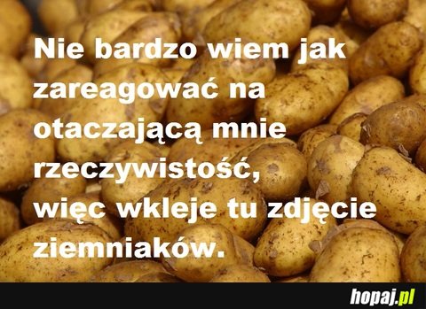 Nie wiem jak zareagować na otaczającą mnie rzeczyw