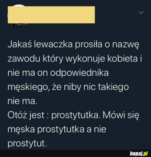 Zawód bez odpowiednika męskiego