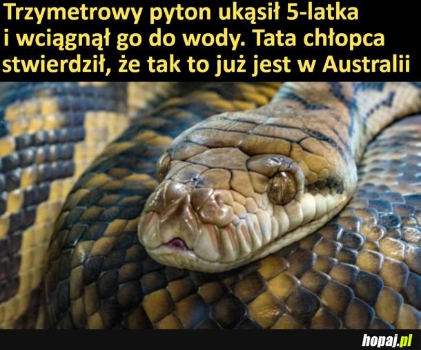 Tak to już jest w Australii