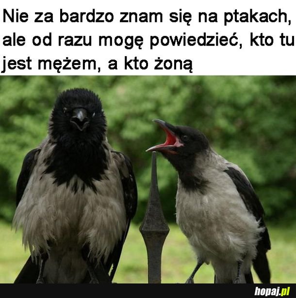 Wiadomo