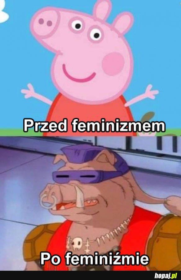 FEMINIZM