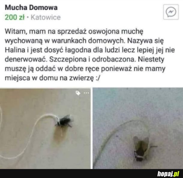 Trochę drogo