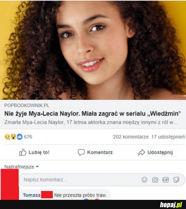 Wiedźmin 
