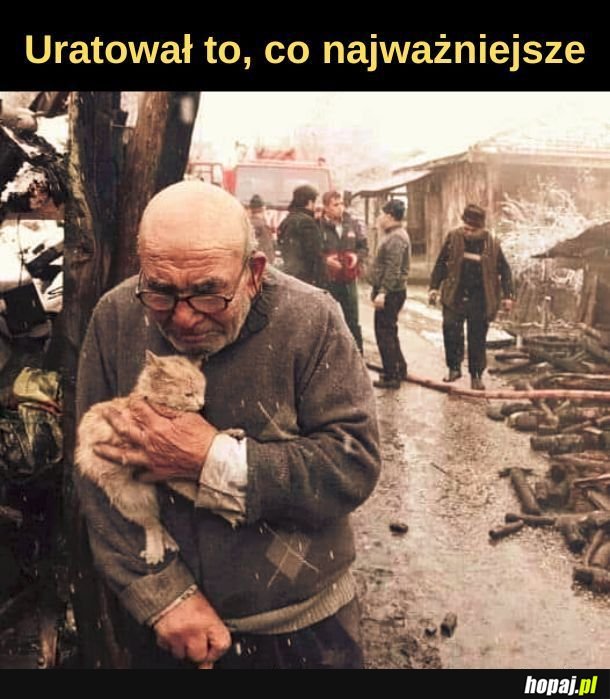 Kotek