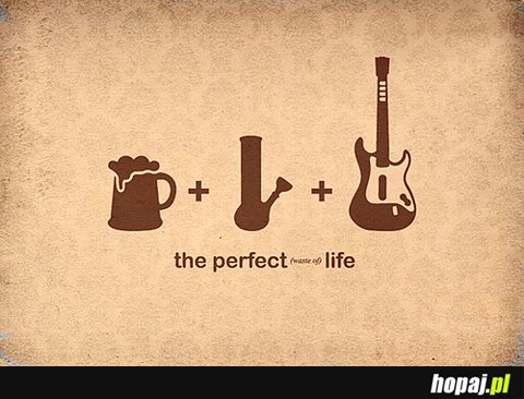 Perfekcyjne życie