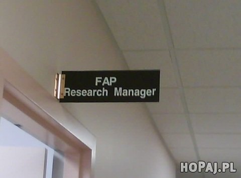 Research Manager