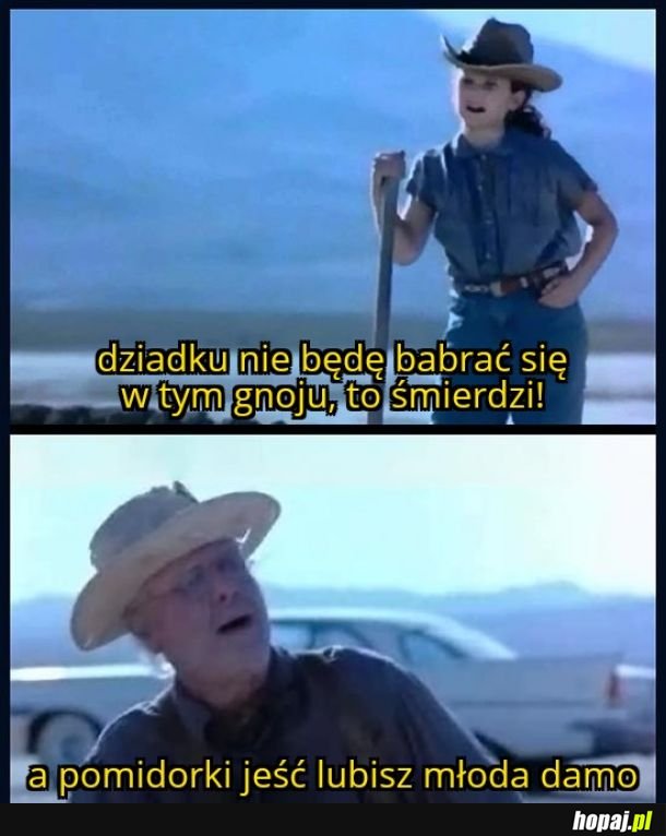 Nie ma gnoju, nie ma pomidorków