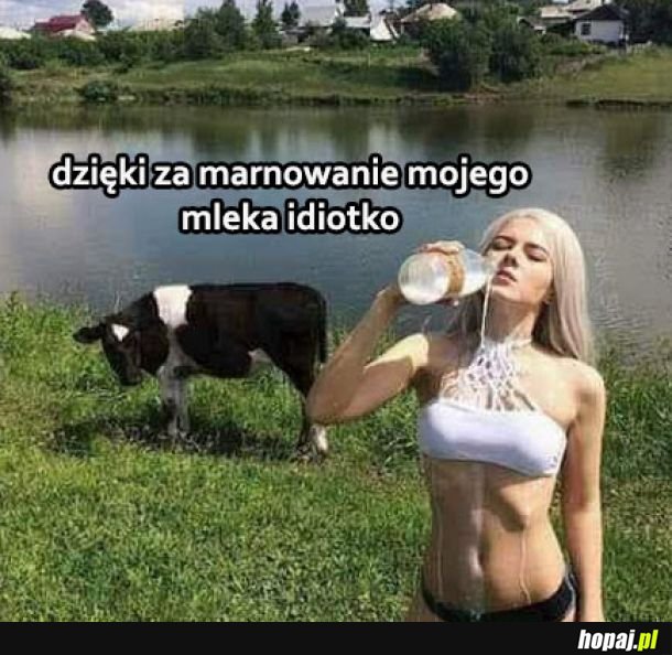 No dzięki