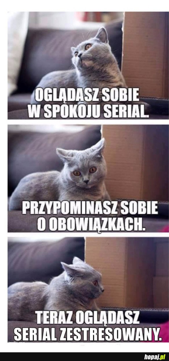 OGLĄDANIE SERIALI