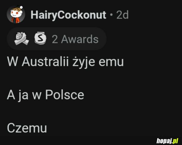 Podsumował