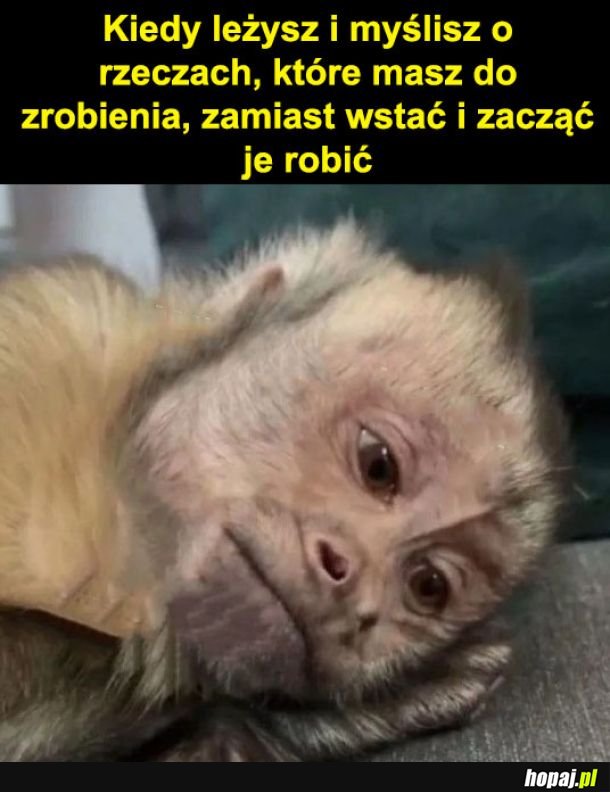 Samo się może zrobi