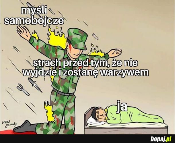  Tak to właśnie wygląda 