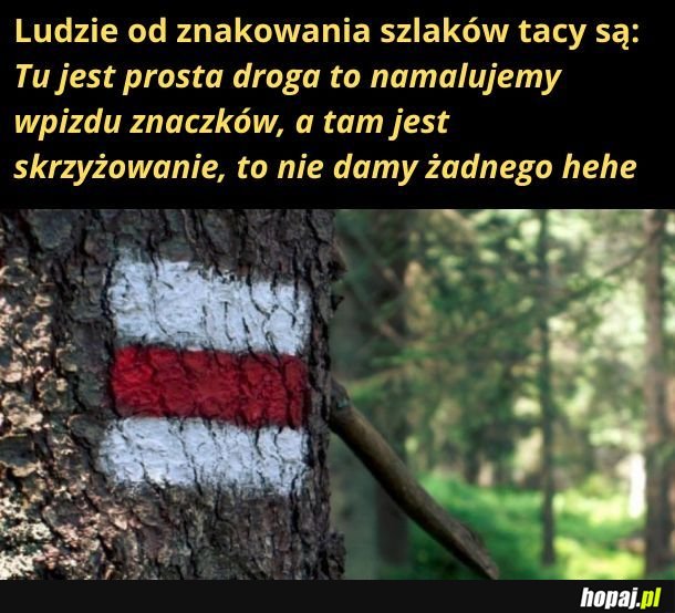 Niech Was szlak... prowadzi