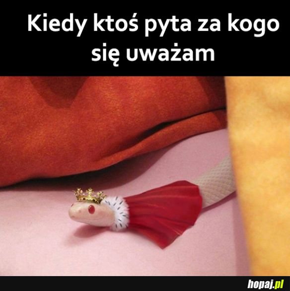 Za księżniczkę