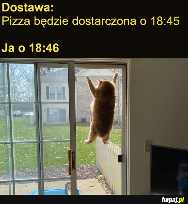 Pitco, gdzie jesteś? Miałaś być minutę temu...