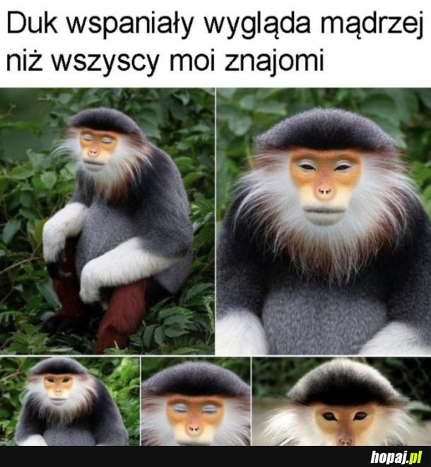 Jak mnich