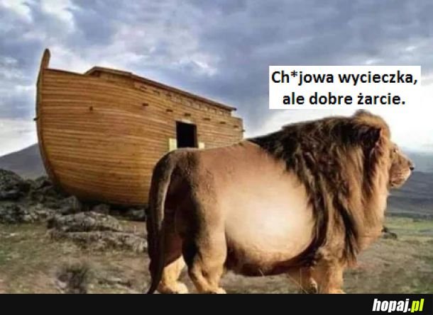 Zadowolony klient